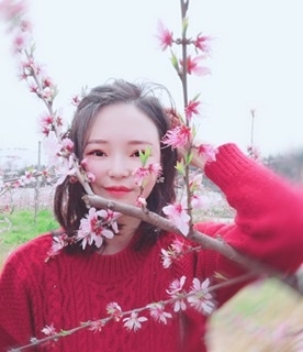 小桌子的第二张照片--会同父母相亲团